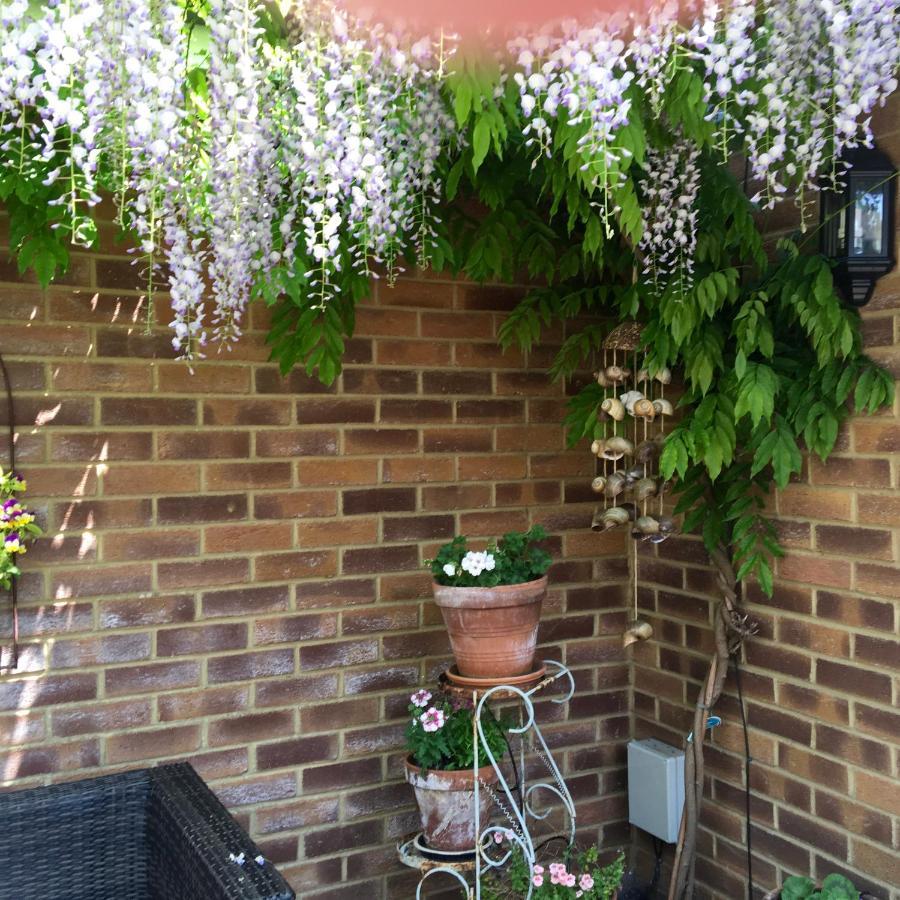 Bub Lane Cottage Christchurch  Esterno foto